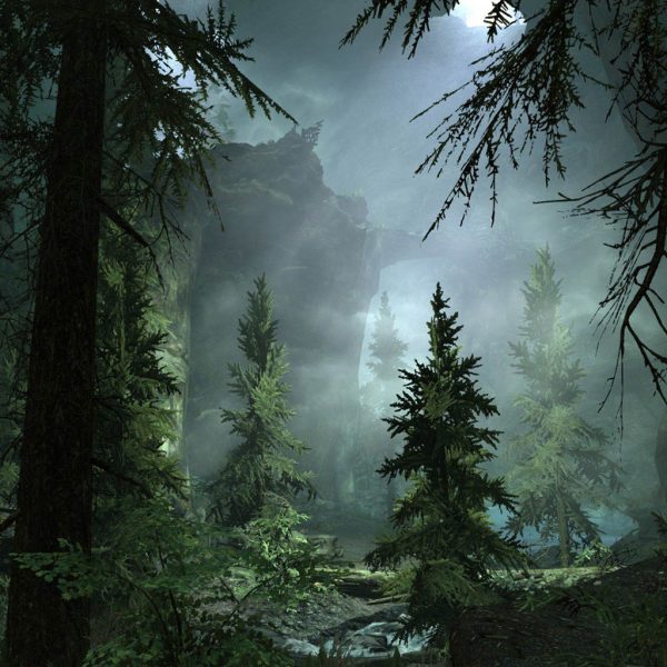 the forest steamworks fix 1.10