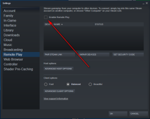 Disable Remote play in Baldur's Gate 3 Steam Launcher